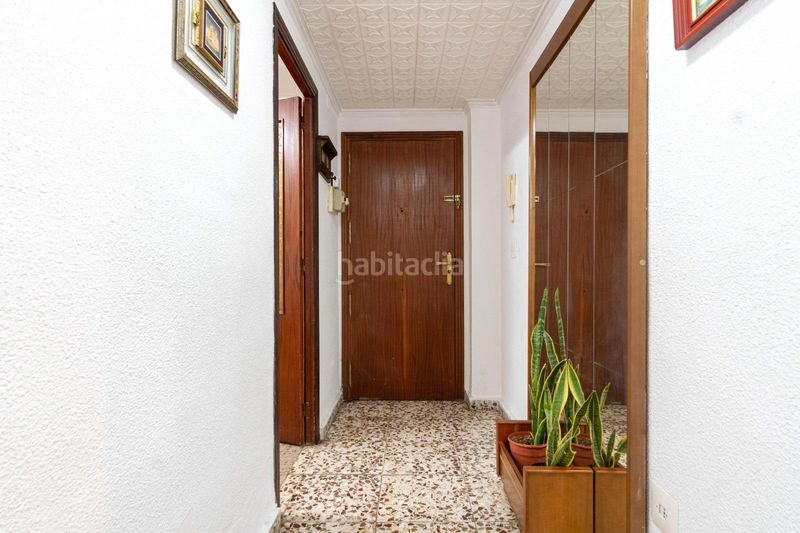 Foto 17e2b2d1-d388-46a2-9e8a-1c10b8ee602d. Pis a Almoradí