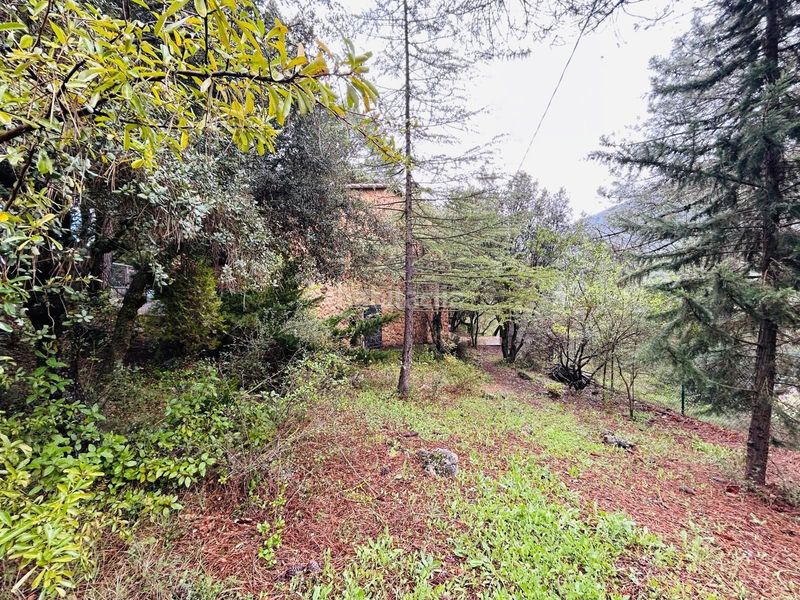 Foto e9df899e-fb5a-4e92-9d94-e5bad00e25de. Masia a Riópar