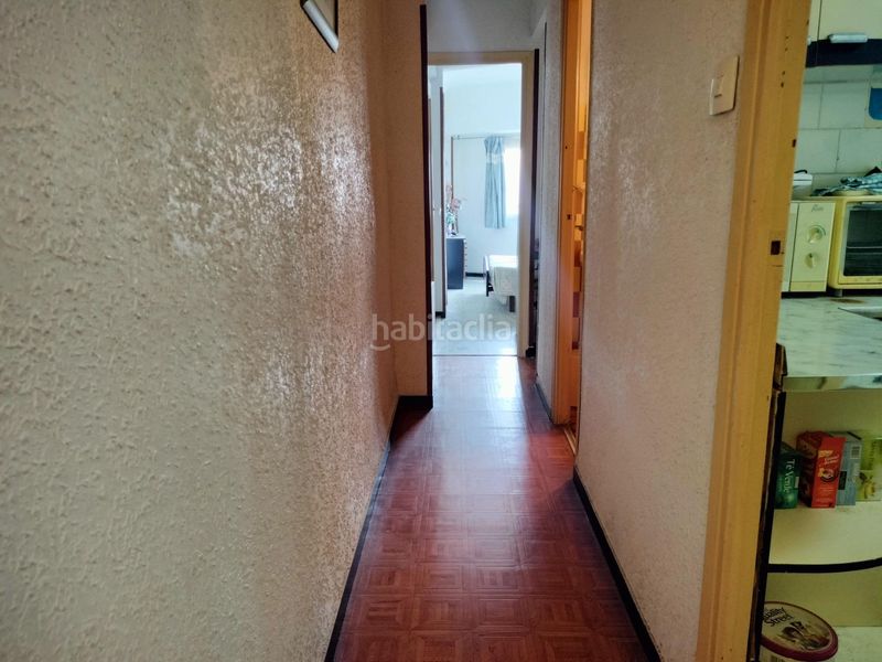 Foto 5226aefc-2bf8-4ac8-b558-57f6bb539e81. Pis a Santo Domingo Alicante