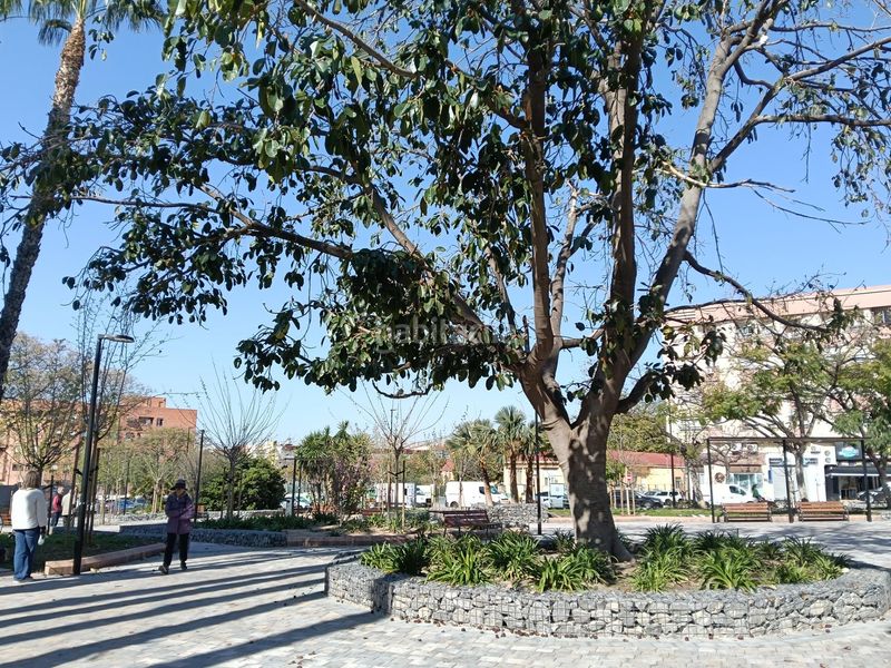 Foto 8f849282-44d0-4fa0-a928-e3c49175d6ad. Pis a Santo Domingo Alicante