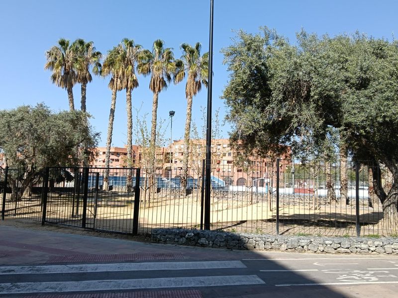 Foto a32f4746-53dd-4d08-a7b8-eb5865939f66. Pis a Santo Domingo Alicante