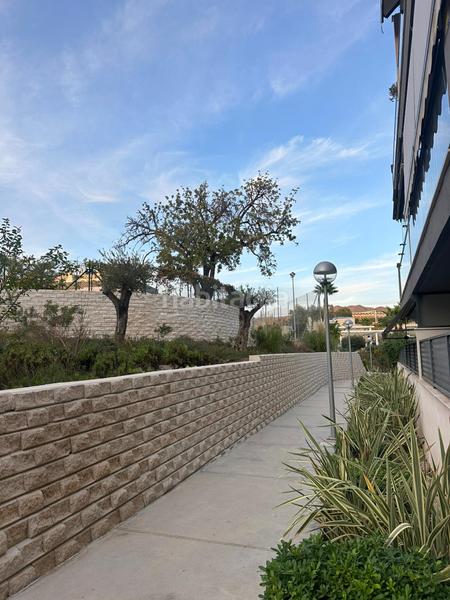 Foto dd655d6d-c092-4b20-be22-9eb42ee21b5b. Lloguer apartament a carril del orozco 56 a Fuente Alegre - El Chaparral - Los Morales Málaga