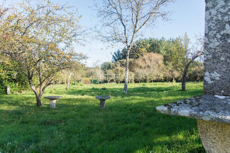 Foto 0b0b7261-bdc2-46b0-83eb-abc34d2bb36d. Casa amb calefacció a Monterroso