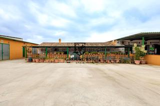 Pis  Diseminado chaparral. Cortijo exclusivo con instalaciones ecuestres y restaurante en u