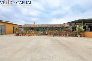 Pis  Diseminado chaparral. Cortijo exclusivo con instalaciones ecuestres y restaurante en u