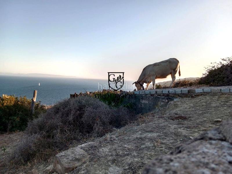 Foto 36bf237b-83ee-4f7f-a5d9-1bd949dcc637. Landgut in Tarifa ciudad Tarifa