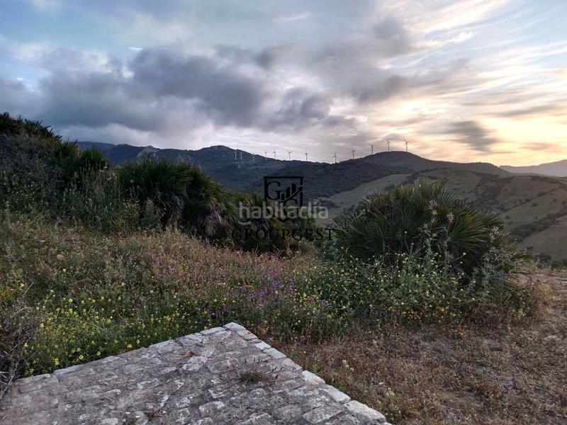 Foto 9349812d-9ed5-490e-a2c0-3a9b9b5b8f60. Landgut in Tarifa ciudad Tarifa