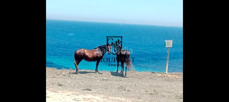 Foto a63d6877-4513-41a1-9b08-52c44341dae8. Landgut in Tarifa ciudad Tarifa