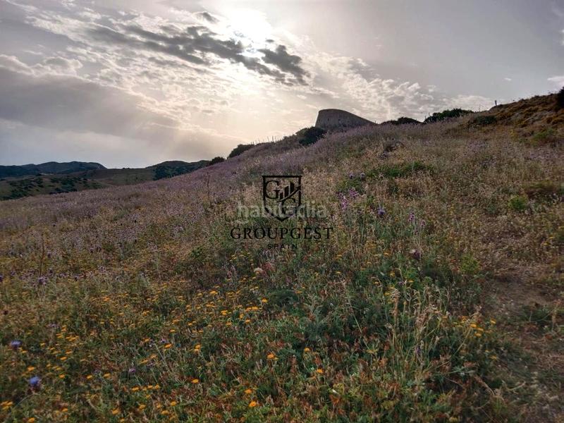 Foto c02de8cb-d1cf-405c-aaa9-ffb71087cabf. Landgut in Tarifa ciudad Tarifa