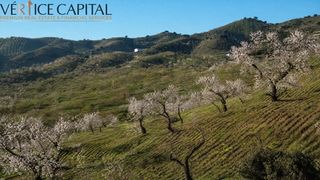 Landgut  Polígono 2. Oportunidad agrícola en cártama 2 parcelas rústicas con almendro