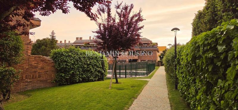 Foto b7b66511-eea8-4217-9212-5f57b5515ea6. Alquiler ático en El Pinar-Punta Galea Rozas de Madrid (Las)