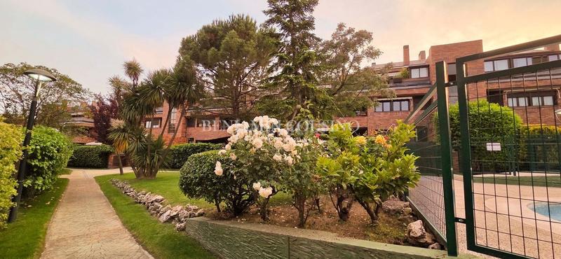Foto 61ecfe37-8cf2-4404-a961-1b5ac8e7b89a. Rent penthouse with parking pool in El Pinar-Punta Galea Rozas de Madrid (Las)