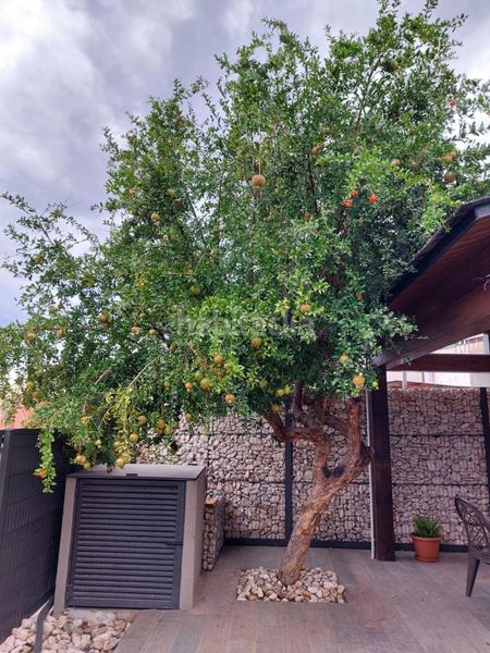 Foto ee308424-0bce-4c29-a52c-6b12216f1042. Chalet ¡torre a cuatro vientos para dos familias! en Barberà del Vallès