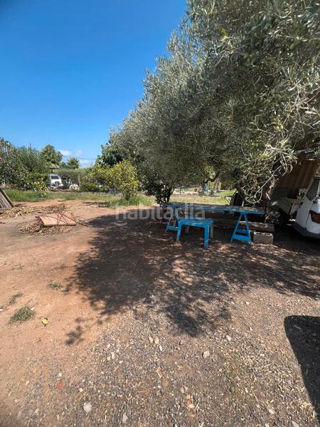 Foto 6003e0ee-b4a9-428c-883f-28943f4d59a7. Mas dans camí de la donació 292a dans El Grao Castellón de la Plana