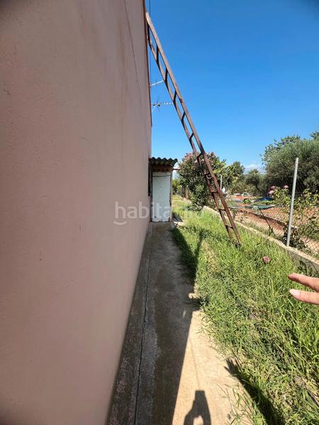 Foto e1fb80df-db07-492f-99a6-b1162b6d2a72. Mas dans camí de la donació 292a dans El Grao Castellón de la Plana