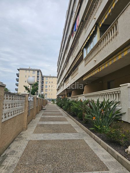 Foto c07f05b7-0f4a-4375-bc03-ea0682f2adc3. Apartament a carrer d'isaac albéniz 13 a La Pineda Vila-seca