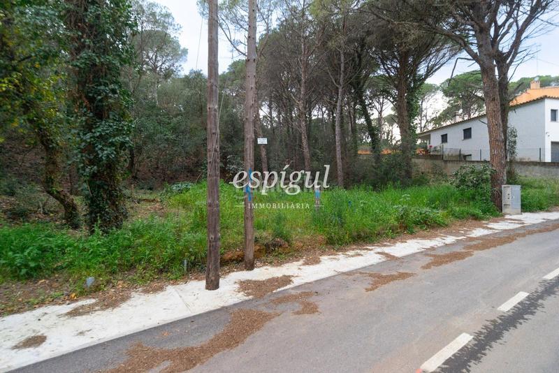 Foto 18f9b861-3af7-4521-82af-8a5b1bc4498f. Finca rústica terreno a la venta en Mas Pere-Río de Oro Calonge