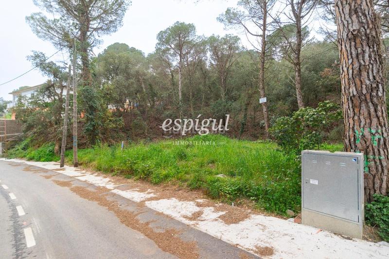 Foto 2f4bd437-3ece-4e23-9b91-b5dd81c34863. Finca rústica terreno a la venta en Mas Pere-Río de Oro Calonge