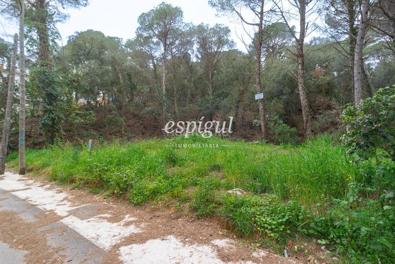 Foto a8592878-5e2b-4cdf-926e-0f1c0c103738. Finca rústica terreno a la venta en Mas Pere-Río de Oro Calonge