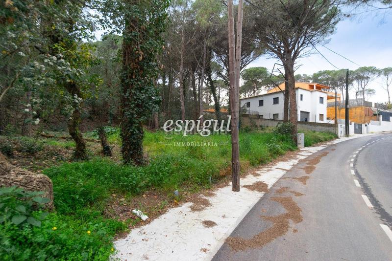 Foto dfe7edb5-c9a9-4290-8b13-15c6a0d2e6e9. Finca rústica terreno a la venta en Mas Pere-Río de Oro Calonge