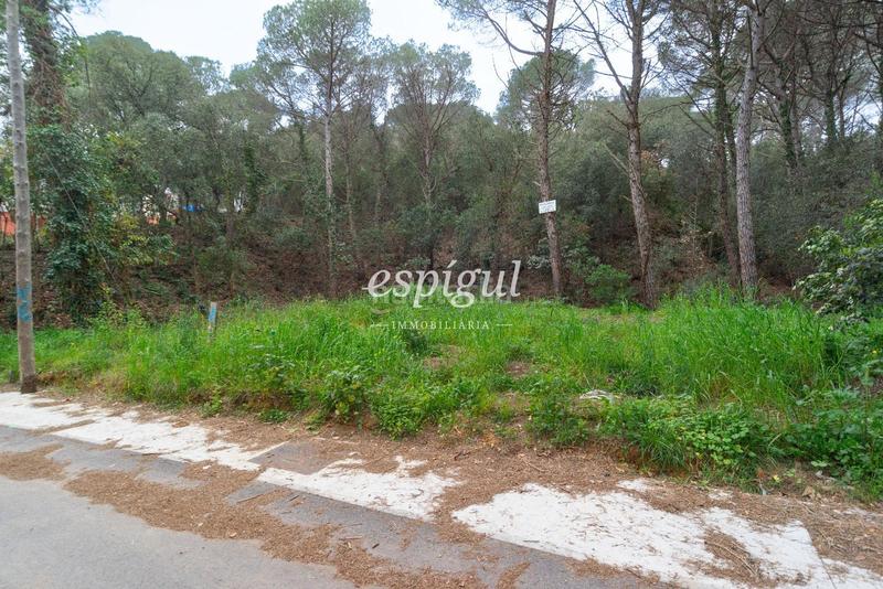 Foto ed596fb2-b255-4948-b46f-4179e86c92d6. Finca rústica terreno a la venta en Mas Pere-Río de Oro Calonge
