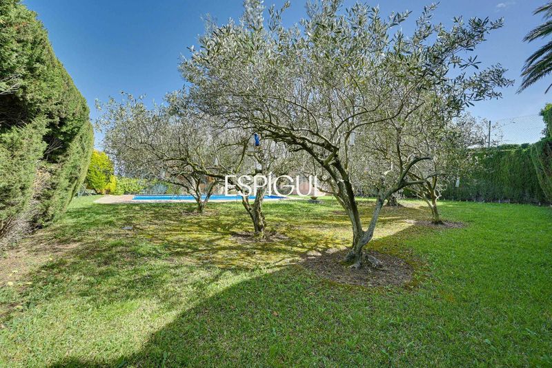 Foto 082dc005-3de8-4a4c-b0a5-c57e2b708253. Casa amb calefacció aparcament piscina a Cabanyes-Mas Ambrós-Mas Pallí Calonge