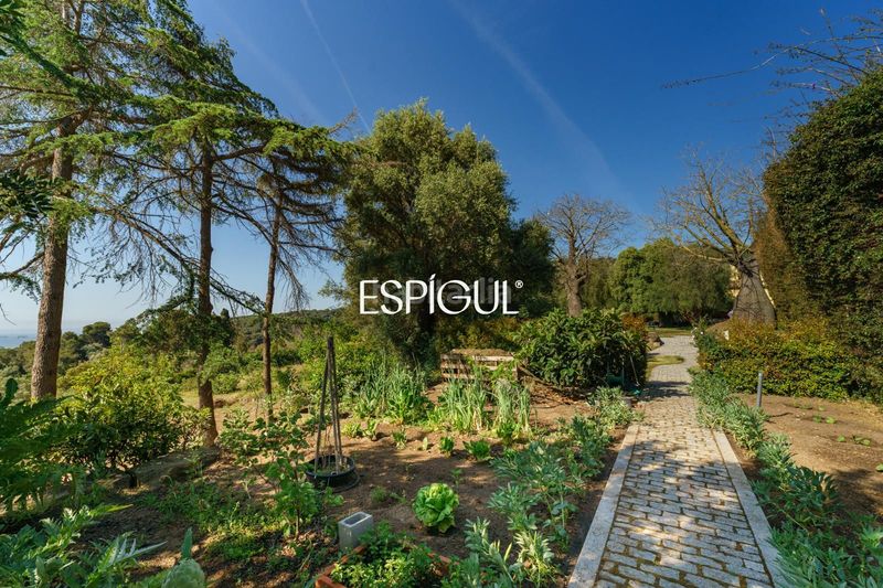 Foto 62de3e3a-09ba-4b59-b36f-98814b8494a8. Casa amb calefacció aparcament piscina a Cabrera de Mar