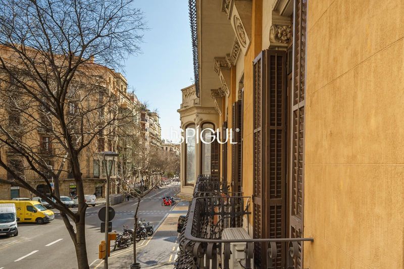 Foto 03fd2cad-c1c3-40b7-a8e7-71ebdc9b9bb1. Pis a Dreta de l´Eixample Barcelona