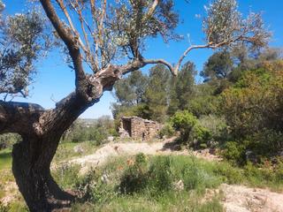 Masia a Batea