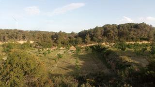 Masia a Batea