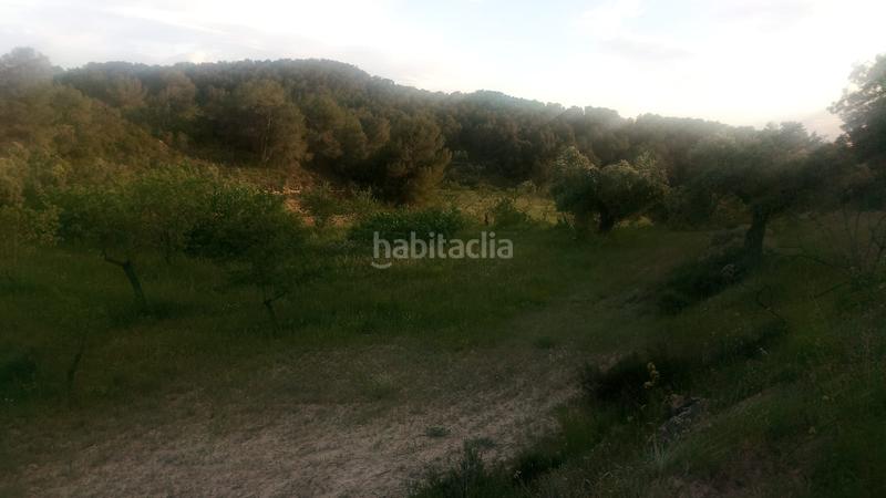 Foto 275d4bdd-2053-4828-9215-633e3933bb81. Masía en Batea