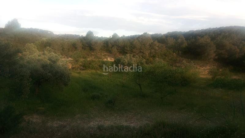 Foto 885b868e-a78f-4b40-a37b-f09c48094830. Masía en Batea