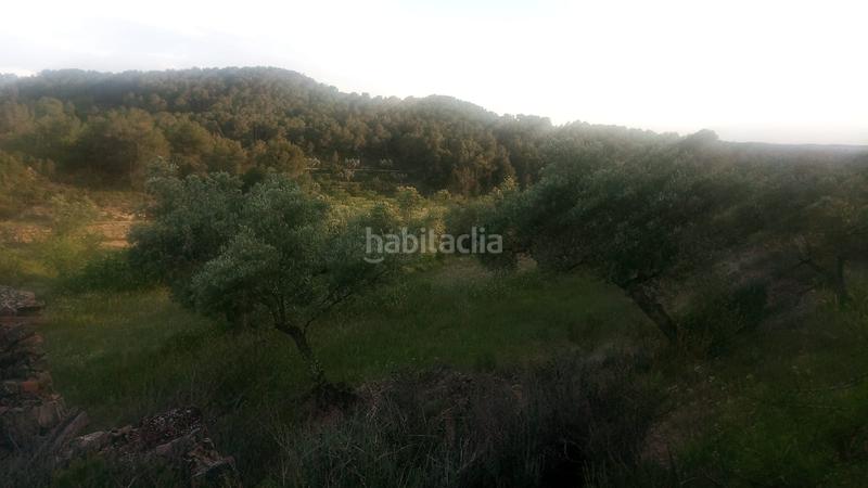Foto b2c8306c-86ab-4b32-af56-95cafc685591. Masía en Batea
