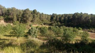 Masia a Batea
