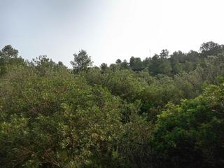 Masia a Corbera d´Ebre