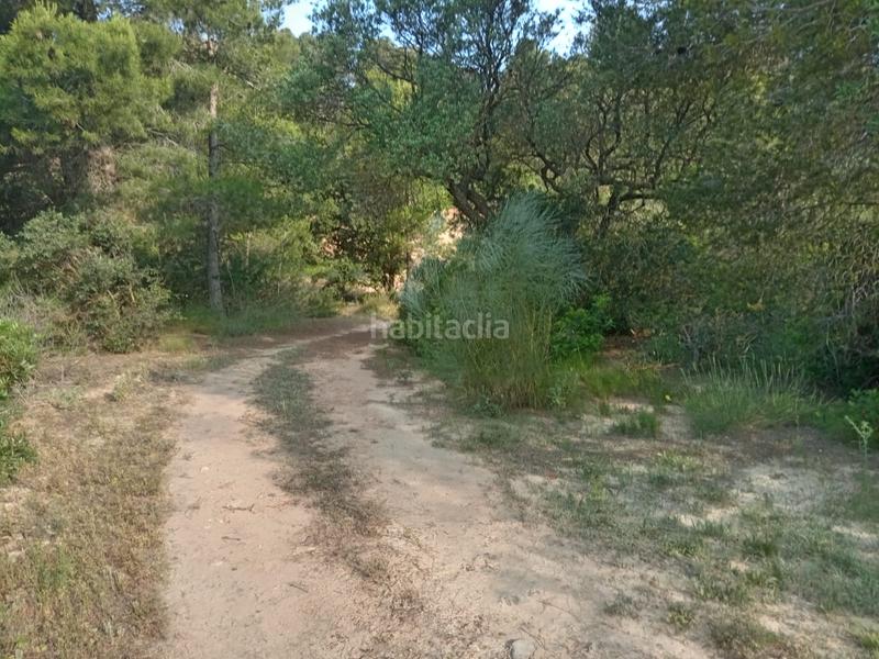 Foto 52cdf8dc-e970-43d6-be72-68358f4d0e4e. Masía en Corbera d´Ebre