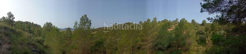 Foto 5e5ddd30-d665-49be-ad5d-703bc3f53612. Masía en Corbera d´Ebre