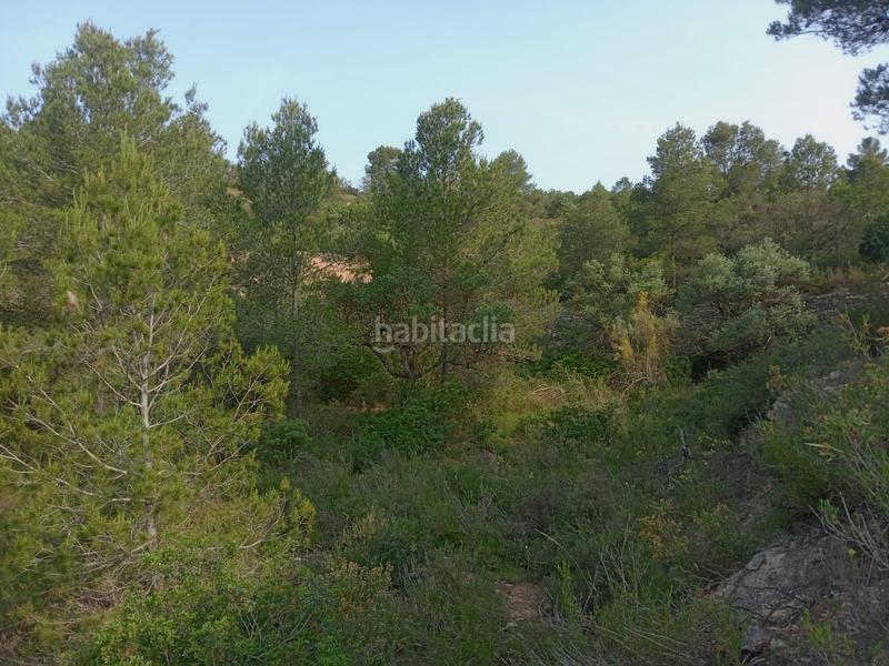 Foto 8b57db8a-6892-4a7e-b9cf-97916b209ed0. Masía en Corbera d´Ebre