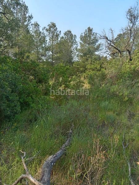Foto fef8ac99-7553-4271-8035-e832399ea57e. Masía en Corbera d´Ebre