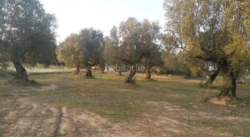 Foto 2a2d5b6d-a9ea-4ae0-a019-8ea2abaf008f. Masia a Batea