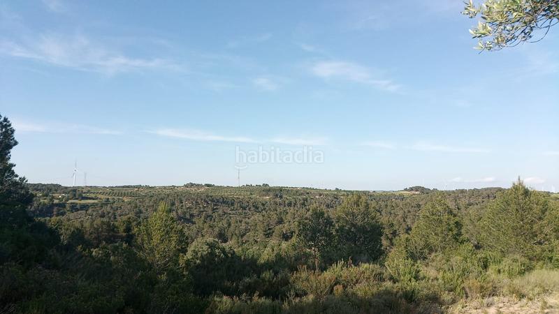 Foto 32623ea8-4b32-4c78-bc7d-bad55eedaef4. Masia a Batea