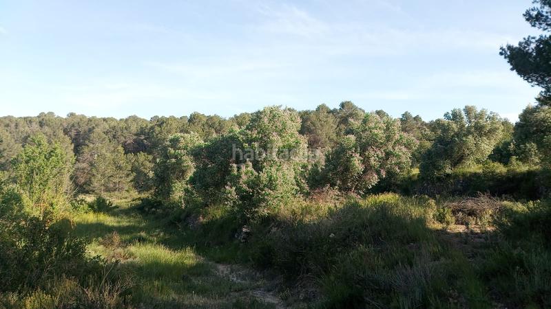Foto 330c17f6-22ad-4d60-a3ca-ed7c6274a47b. Masia a Batea