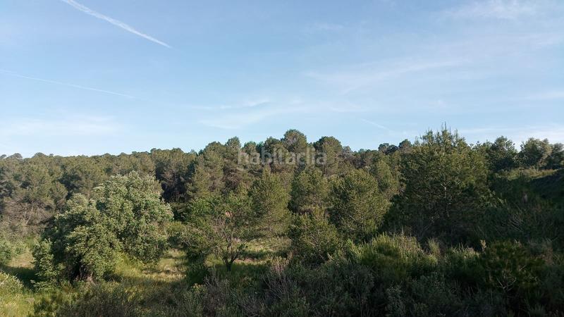 Foto bc0bae9e-268e-432f-87f9-864090aacdd8. Masia a Batea