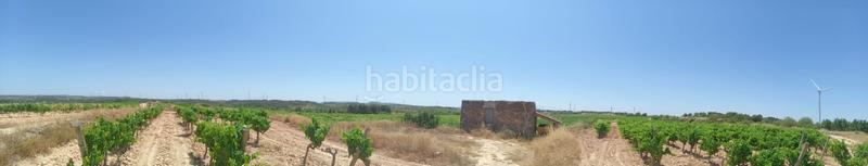Foto cc8b4b1e-1f59-4afe-bf8b-66619429dc83. Mas dans Batea