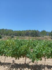 Masia a Batea
