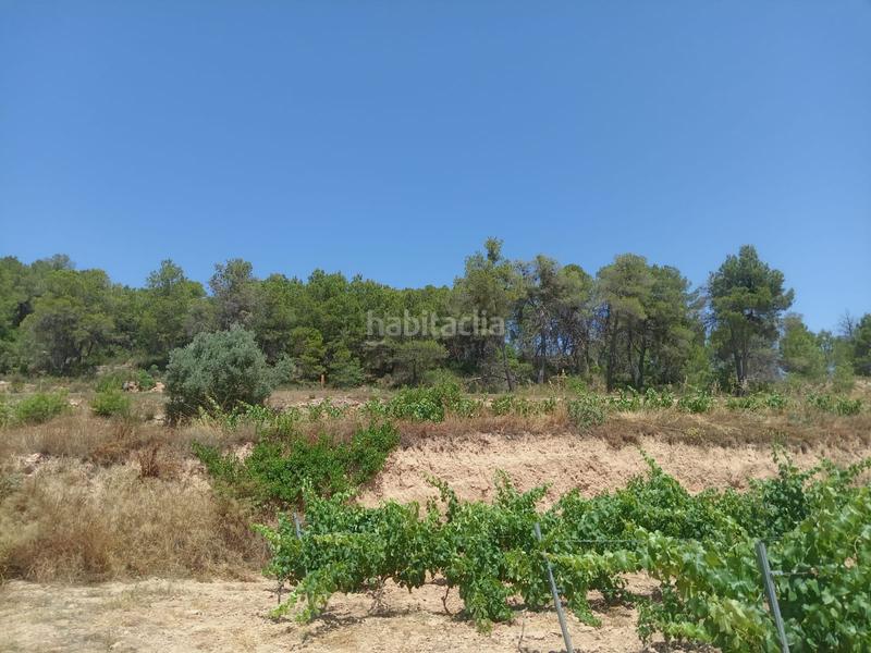 Foto d7febd4d-ae03-4d97-b555-cdfa1caa05e5. Masía en Batea