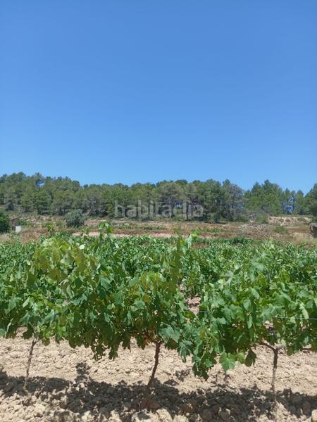 Foto eb5bc197-78de-4850-8546-677e7691cf98. Masía en Batea