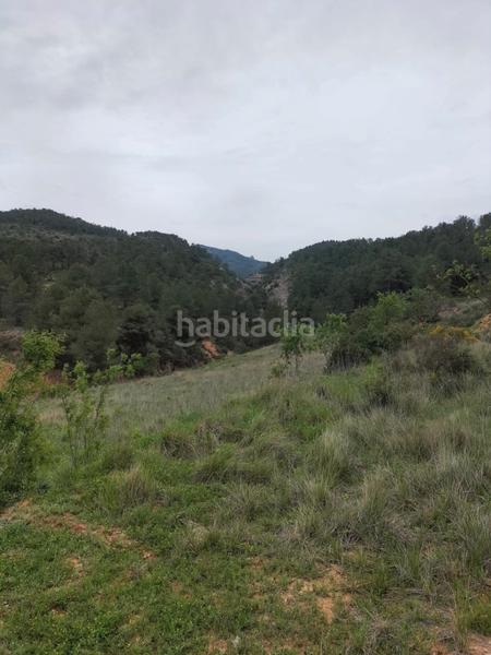 Foto b2b7b109-7c7b-4aee-bd84-517cafb87fe5. Masía en Bot