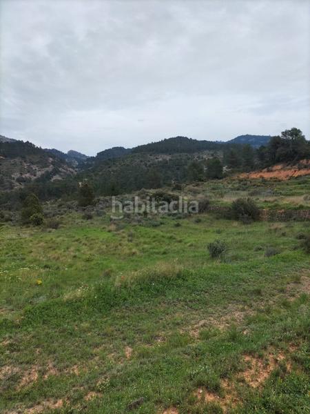 Foto f4bf1218-b582-4f7e-886b-791d4165e02f. Masía en Bot