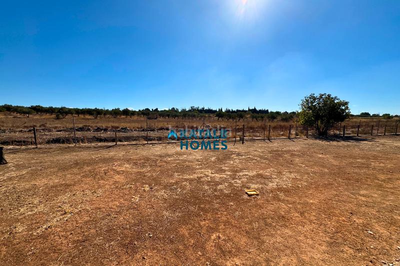 Foto b0616094-ba46-431f-b4b5-8b3ada95d745. Chalet  en venta Nuevo Bulevar en Nuevo Bulevar Mairena del Aljarafe